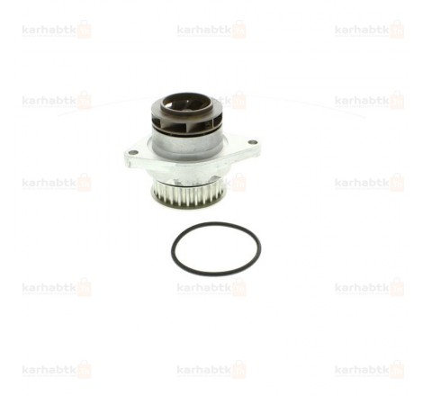 POMPE A EAU GOLF 3